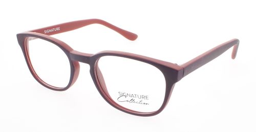 Optical Glasses 45