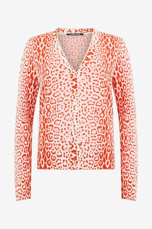 Jaguar Print Twin Set