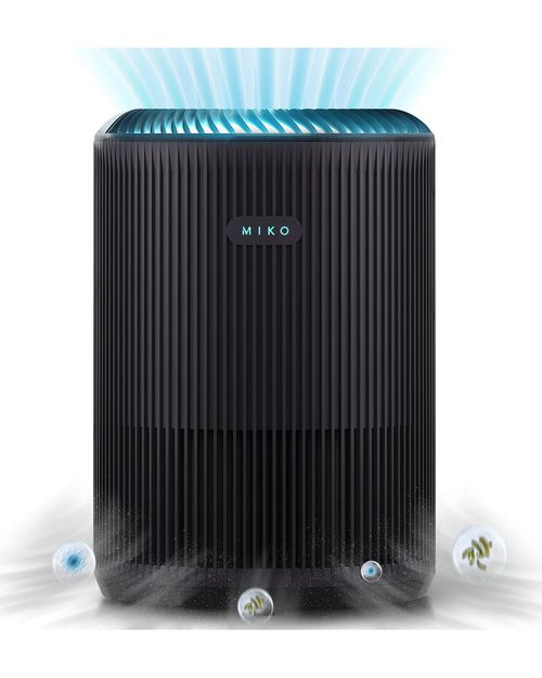Essence Compact Air Purifier