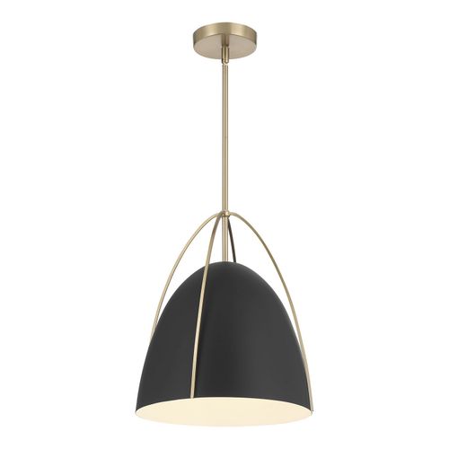 Matte Black Pendant from the Pomelle Collection