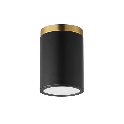 Black Antique Brass Flush Mount from the Dapper Collection