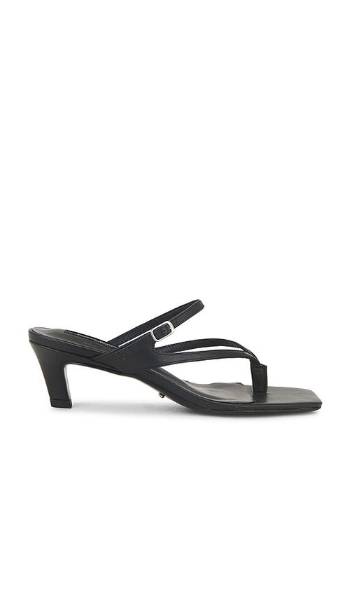 New from Tony Bianco