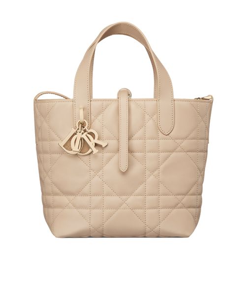 Small Dior Toujours Vertical Tote Bag