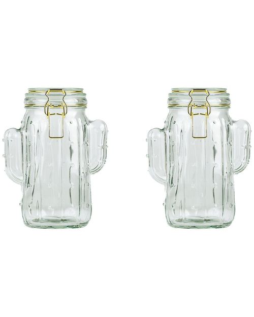Set Of 2 Saguaro Medium Hermetic Jars