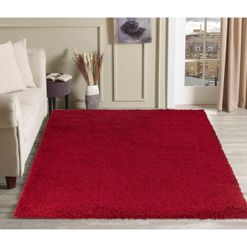 Modern Elegant Soft Shaggy Rug for Living Rooms - Stylish Area Rugs