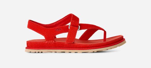 ® Women's GoldenGaze Toe Post Suede Sandals in Red Pepper