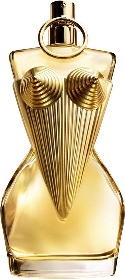 Ladies Divine EDP Spray 3.4 oz Fragrances 8435415076838