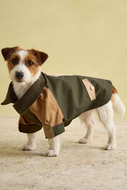 Kennington Brown & Khaki Dog Coat