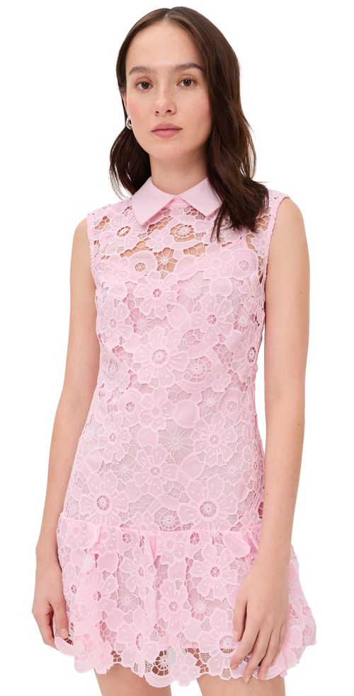 Lace Collared Mini Dress Pink