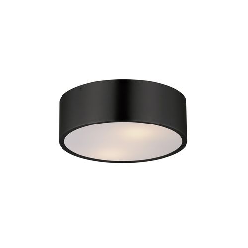 Black Two Light Surface Mount from the Tommy Collection