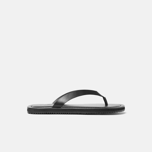Ascanio Black