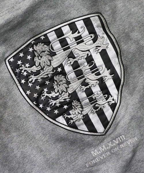 Shield Old Glory Hoodie