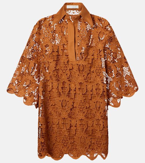 Coco scalloped lace top