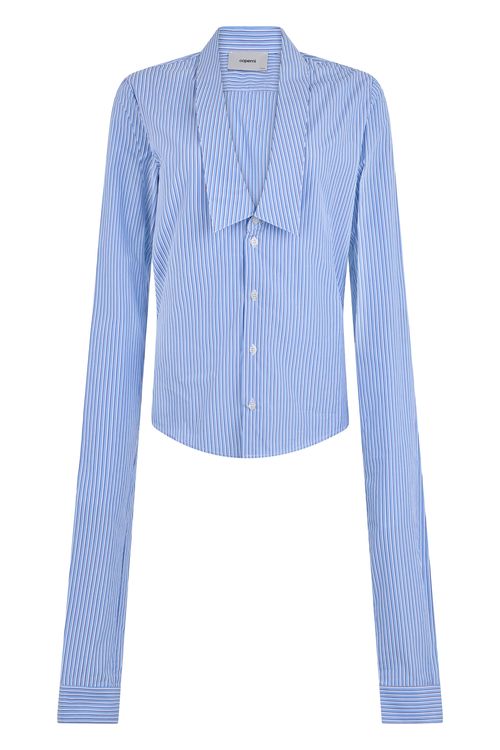 Long-Sleeved Elegant Fitted Shirt