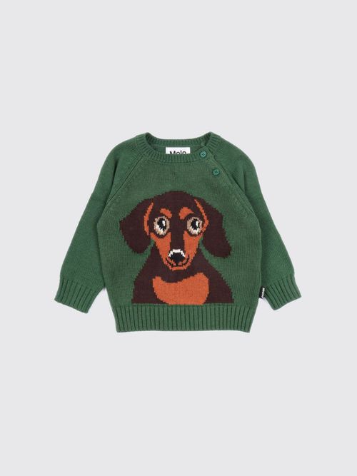 Sweater Kids color Green
