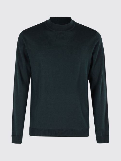 Sweater Men color Bottle Green