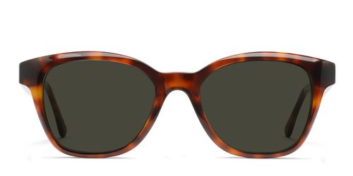 Shyla Tortoise