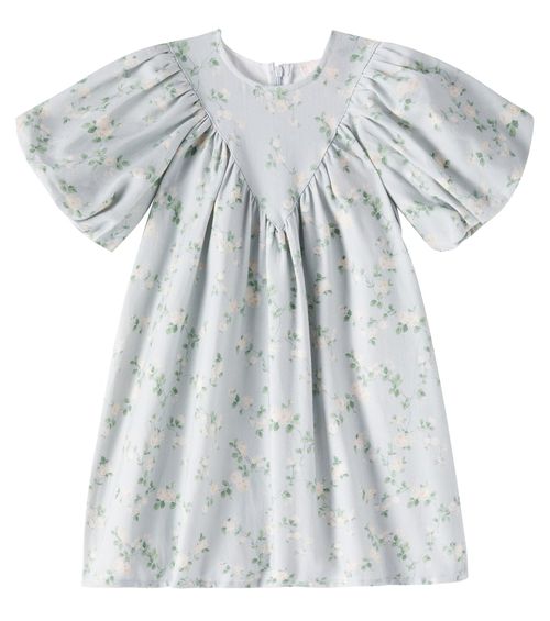 Petite Amalie Floral cotton chambray dress