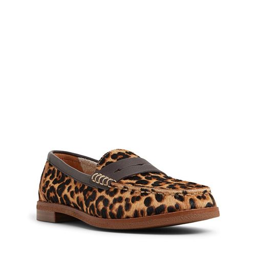 Women's Seaport Leather Penny Loafers (Brown Primary - Multi)