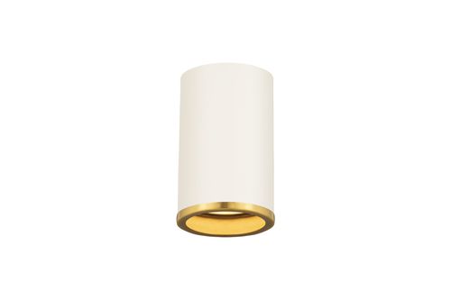 Arlo 1-Light Flush Mount Ceiling Light In Matte White With Rubbed Bra