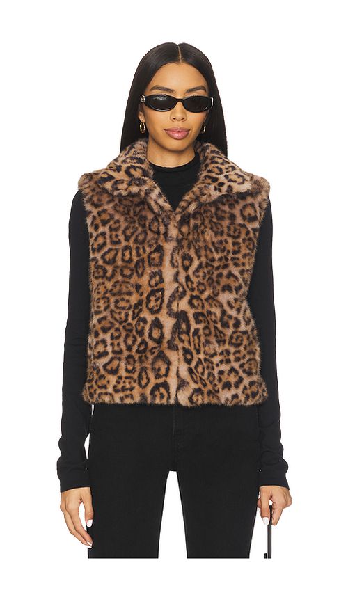 Adrienne Landau Printed Rabbit Vest in Brown. - S also in