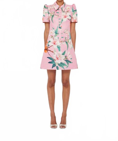 Brooke Mini Dress In Lavish Print In Pink
