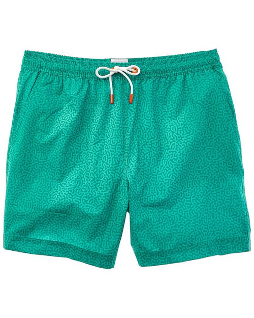 Breeze Swim Short
