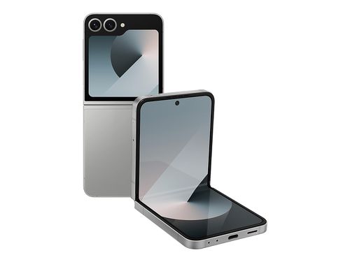 Galaxy Z Flip6 256GB in Silver Shadow (Unlocked)(SM-F741UZSAXAA)