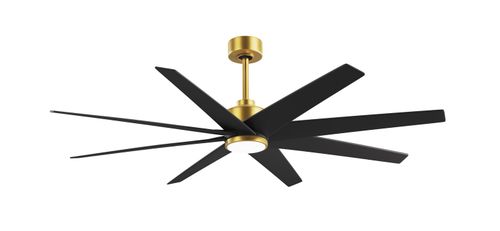 Brushed Brass 64" Ceiling Fan from the Ariella-LK Collection