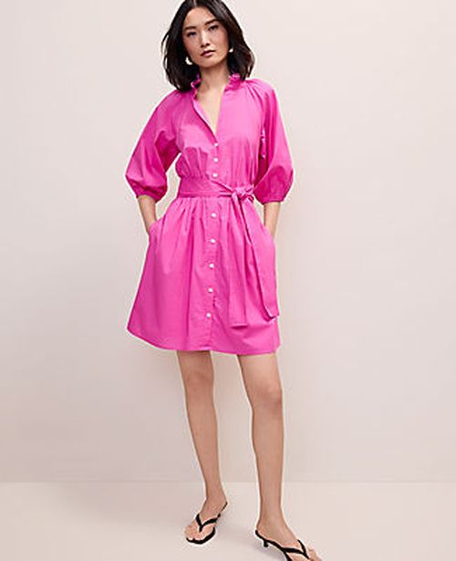 Ann Taylor Ruffle Collar Mini Dress
