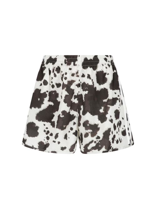 Sport Shorts