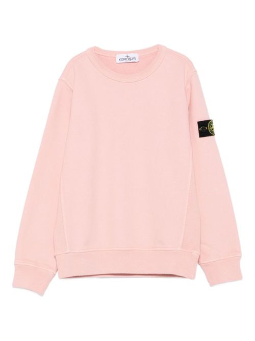 Boys Pink Crew Neck Sweatshirt