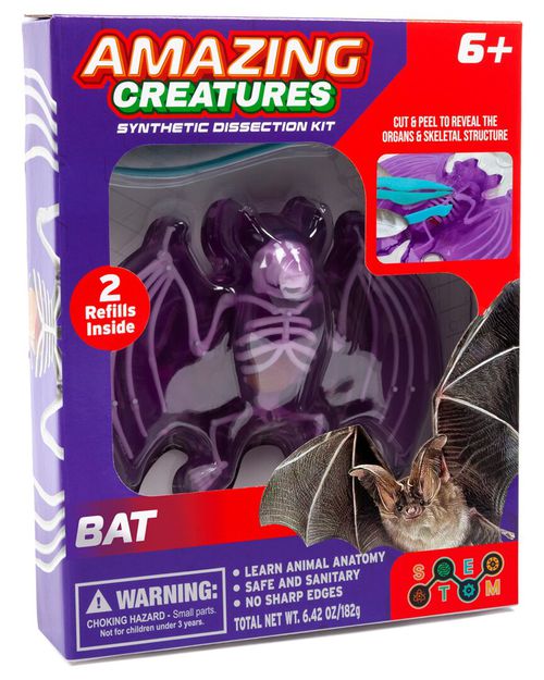 Amazing Creatures Bat Synthetic Dissection Kit