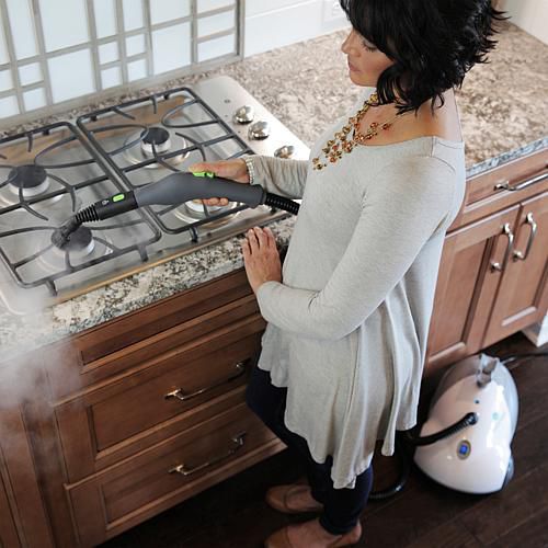 SF-275 Canister Steam Cleaner