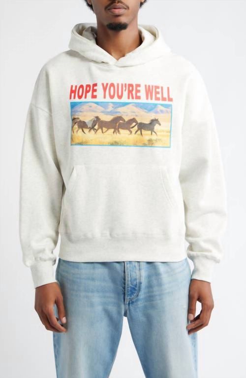 Horses Hoodie With Kangaroo Pocket In Grey