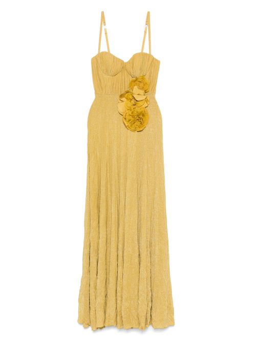 Elisabetta Franchi floral-appliqué gown - Yellow