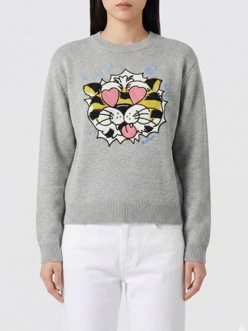 Sweater Woman color Grey