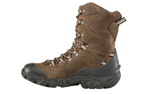 Oboz Men's Bridger 10" Insulated B-DRY
