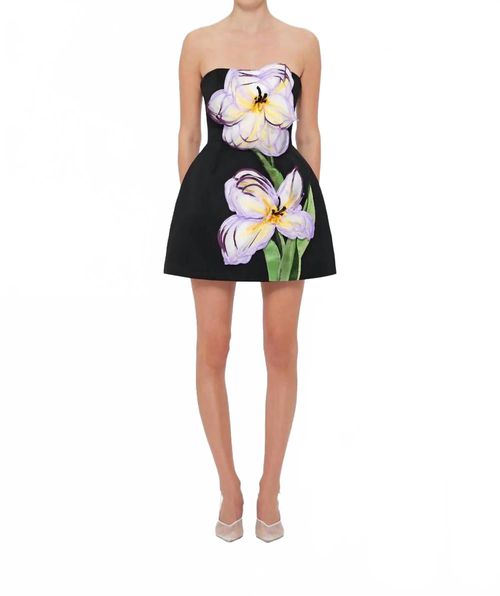 Rosario Applique Floral Bustier Mini Dress In Black
