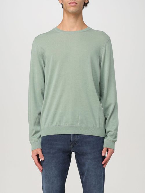 Sweater Men color Sage