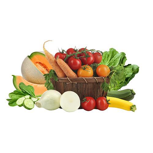  Veg Garden Seeds